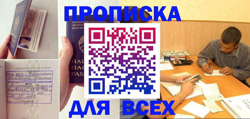 миграционный учет в Мончегорске